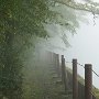 登山道をしばらく歩くとつく鏡沼。人口の貯蓄池だがきりで良い雰囲気